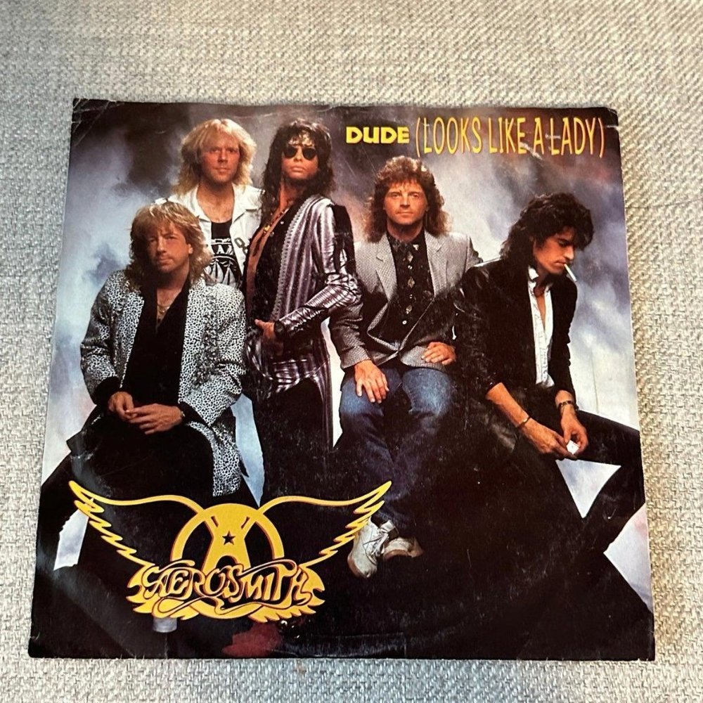 7” Aerosmith Vinyl Dude Looks Like a Lady